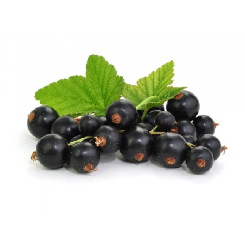 Johannisbeere (Cassis) Aroma - eRs - 10ml