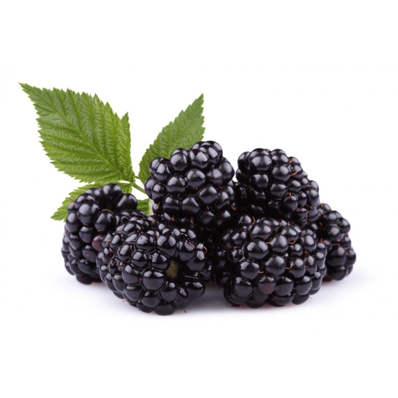 Brombeere Aroma - eRs - 10ml