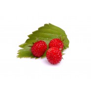 Walderdbeere Aroma - eRs - 10ml