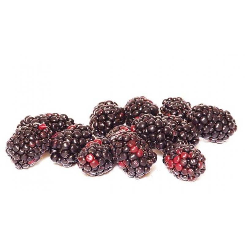 Loganberry Aroma - eRs - 10ml