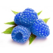 Blue Raspberry Aroma - eRs -10ml