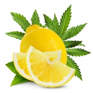 Dark Burner Chill-Out-Aroma Lemon Haze