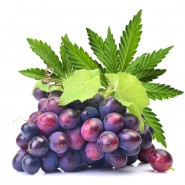 Dark Burner Chill-Out-Aroma Purple Haze