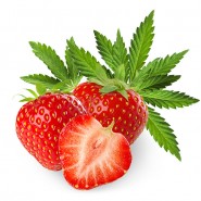 Dark Burner Chill-Out-Aroma Strawberry Kush