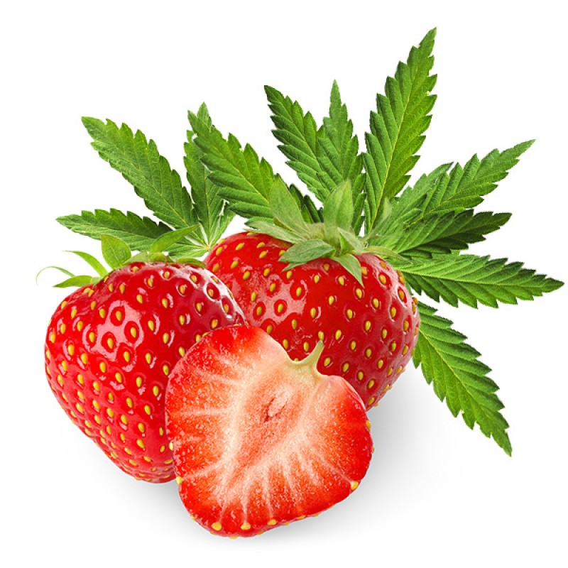 Dark Burner Chill-Out-Aroma Strawberry Kush
