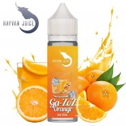 Ga-Zoz Orange Aroma für 60ml - Hayvan Juice
